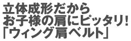 ���̐��`�����炨�q�l�̌��Ƀs�b�^���I�u�E�B���O���x���g�v