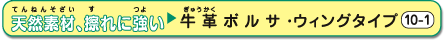 ���v�{���T�E�E�B���O�^�C�v