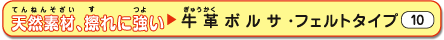 ���v�{���T�E�t�F���g�^�C�v