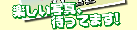 �t�H�g�R���e�X�g3