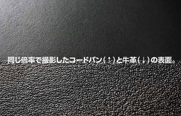 同じ倍率で撮影したコードバン（↑）と牛革（↓）の表面。